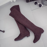 Women Winter Autumn Flat Boots Shoes High Leg Suede Short Long Boots - RaysJewelry&more